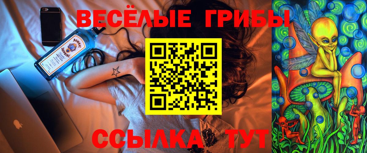Псилоцибиновые грибы мицелий Новочебоксарск