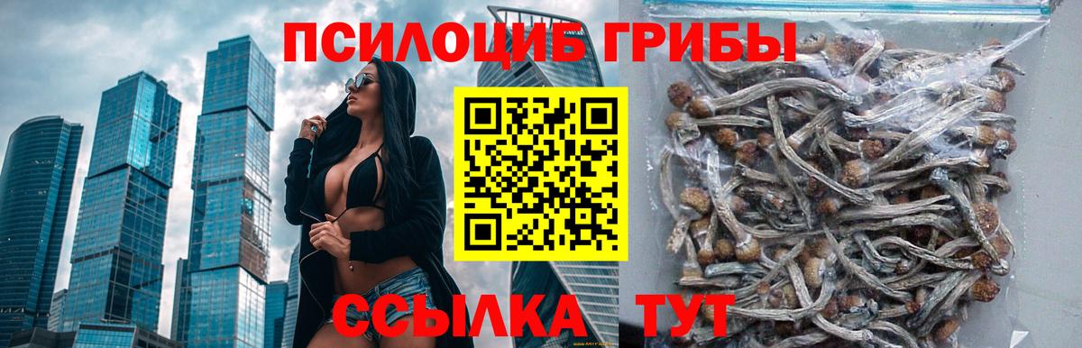 Галлюциногенные грибы мухоморы  Псилоцибиновые грибы Psilocybine cubensis  Новочебоксарск  Вход с VPN 